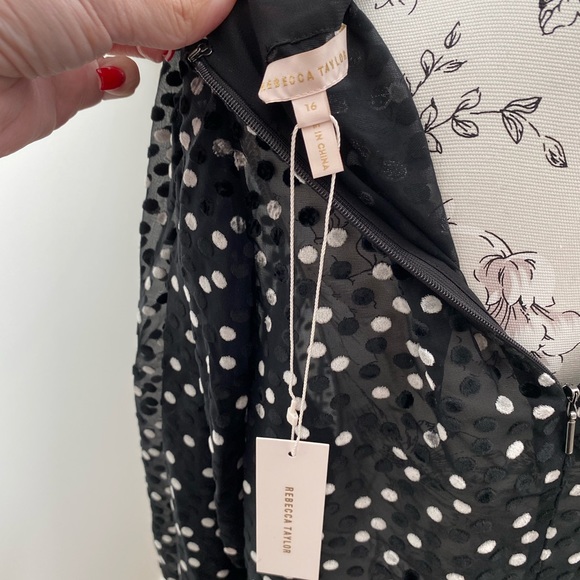 Rebecca Taylor blouse πNWTπ - Picture 5 of 14